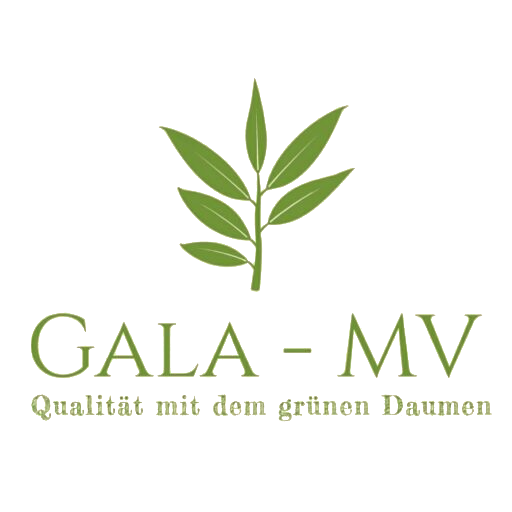 gala-mv.de