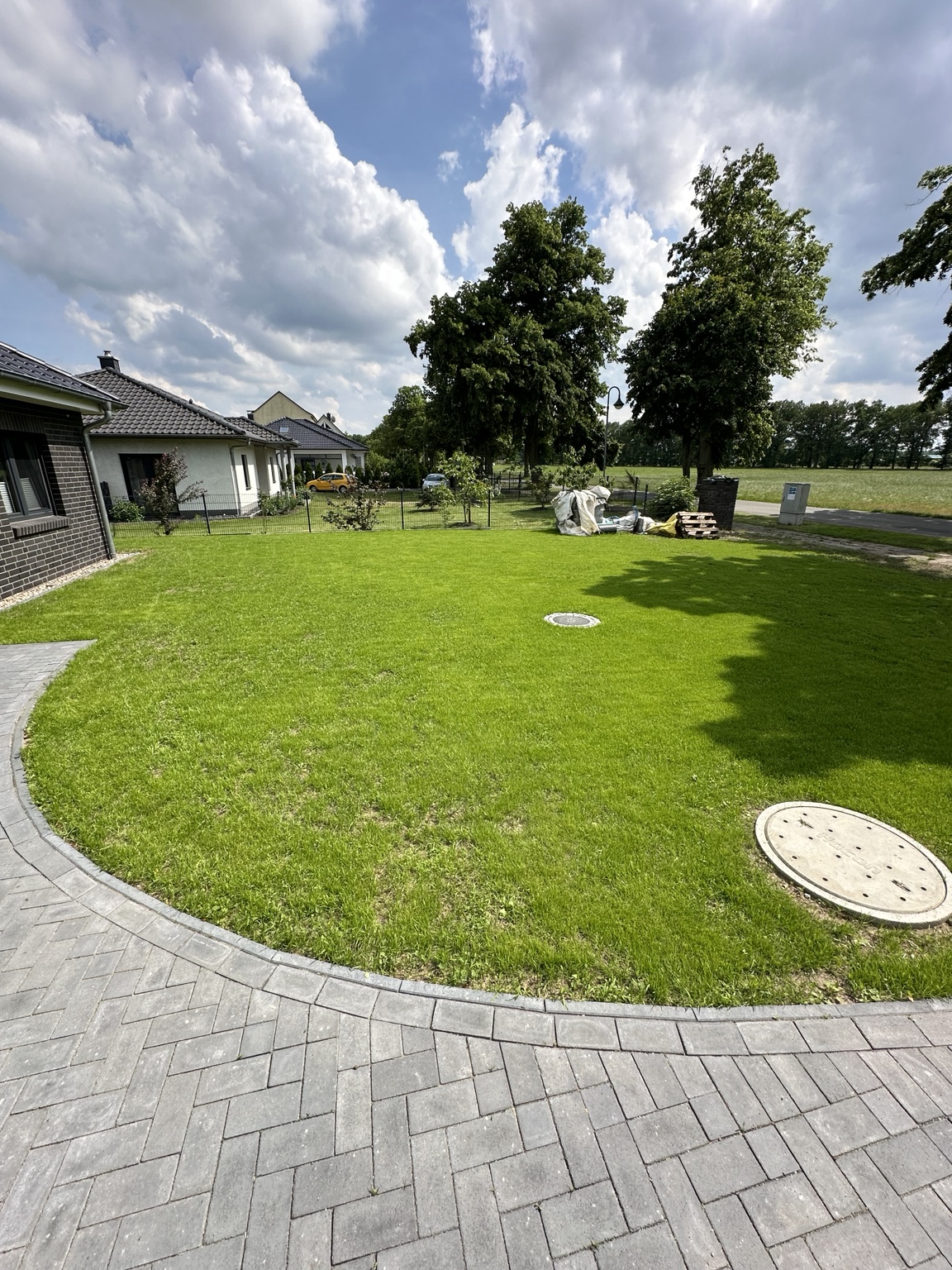 Grüner Garten mit geschwungener Rasenfläche